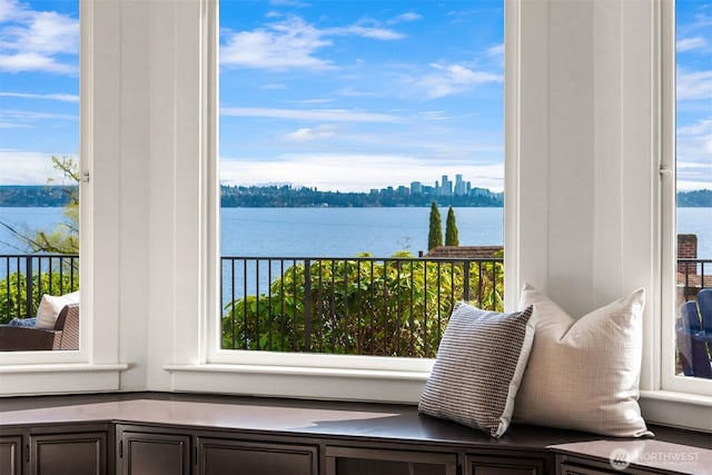 3807 E Jefferson St, Seattle, WA 98122 - living area featuring a water view and plenty of natural light