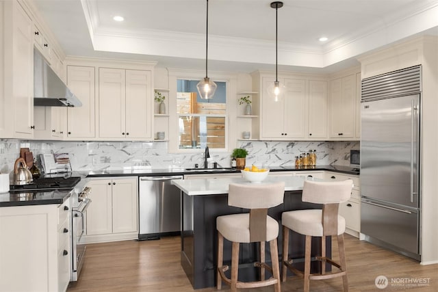 3807 E Jefferson St, Seattle, WA 98122 - kitchen with high end appliances, open shelves, a sink, a tray ceiling, and dark countertops