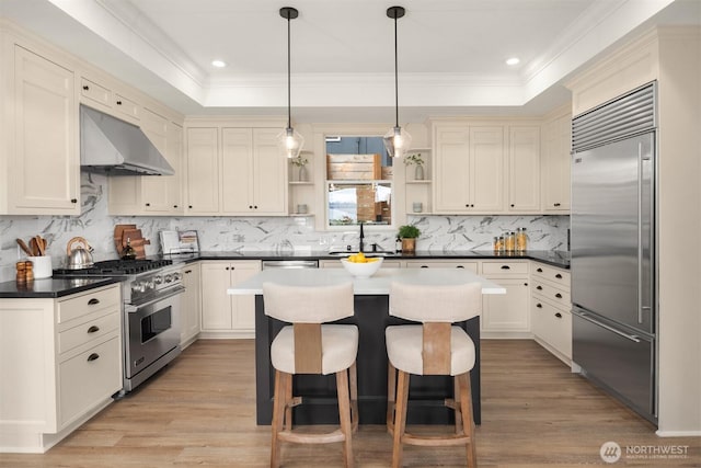 3807 E Jefferson St, Seattle, WA 98122 - kitchen with high end appliances, under cabinet range hood, open shelves, a tray ceiling, and crown molding