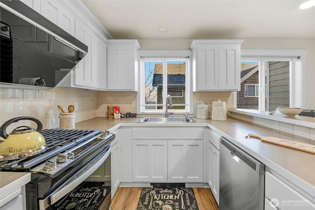 3604 22nd Ave W, Seattle, WA 98199 - kitchen featuring appliances with stainless steel finishes, a sink, light countertops, and healthy amount of natural light