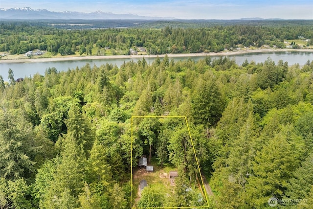 477 SE Old Arcadia Rd, Shelton, WA 98584 - aerial overview of property's location featuring a forest, a nearby body of water, and property boundaries highlighted