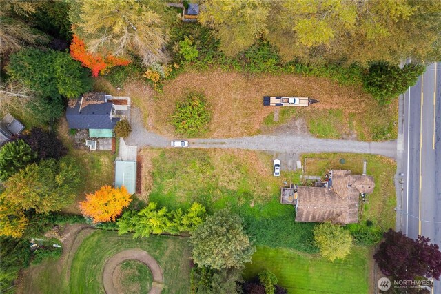 24028 135th Ave SE, Kent, WA 98042 - bird's eye view
