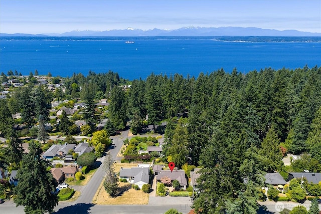 13209 7th Ave NW, Seattle, WA 98177 - photo 34