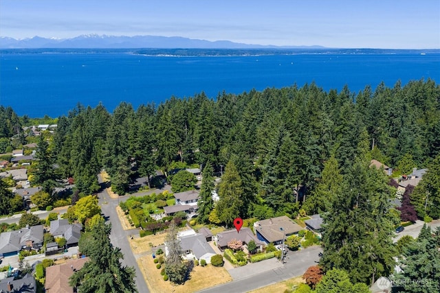 13209 7th Ave NW, Seattle, WA 98177 - photo 35
