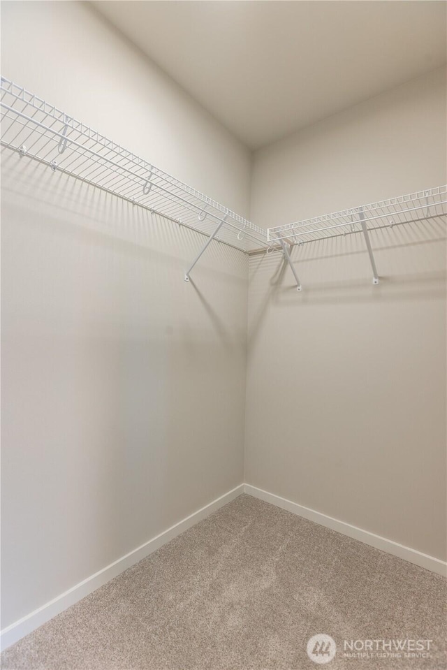 33488 Golden Lakes Ln SE, Black Diamond, WA 98010 - spacious closet with light colored carpet