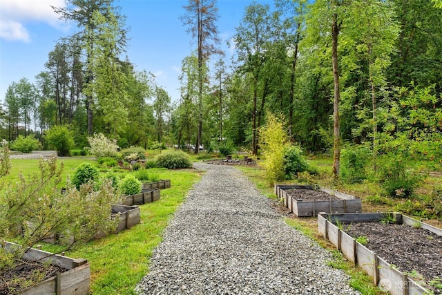 138 Gray Rd, Toledo, WA 98591 - photo 5