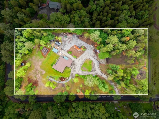 138 Gray Rd, Toledo, WA 98591 - photo 37