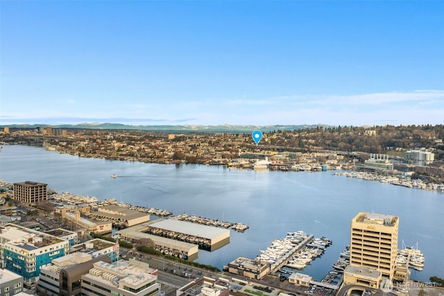 1906 Franklin Pl E Unit 103, Seattle, WA 98102 - photo 2