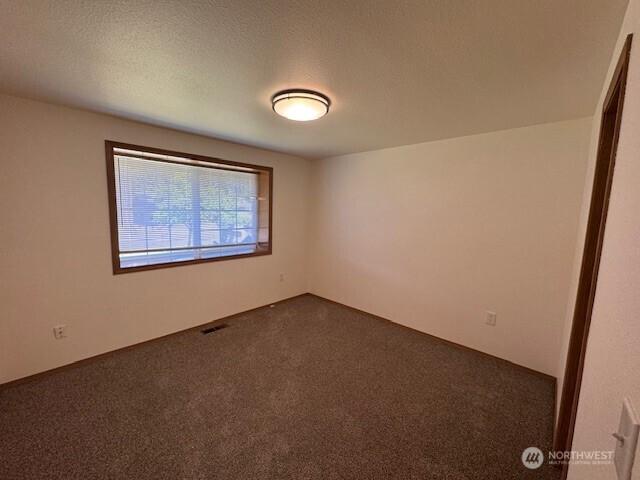 10202 98th St SW, Lakewood, WA 98498 - photo 12