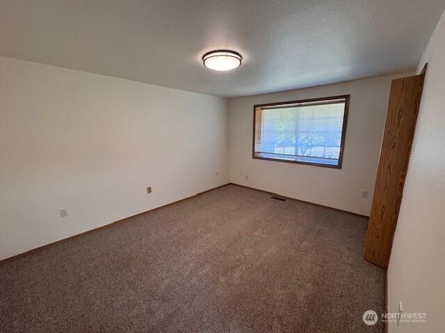 10202 98th St SW, Lakewood, WA 98498 - photo 13
