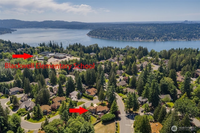 20520 NE 35th Pl, Sammamish, WA 98074 - aerial perspective of suburban area featuring a large body of water