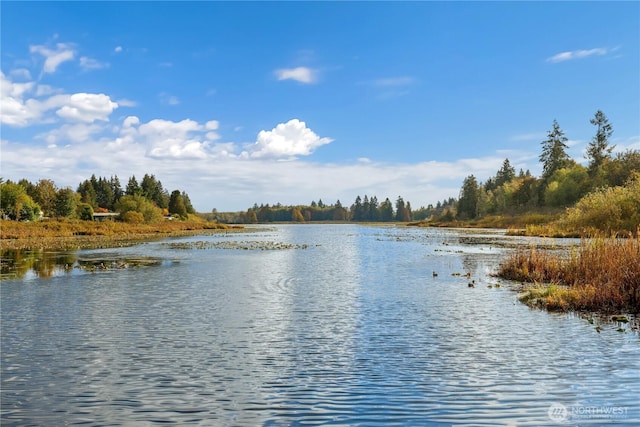 3318 18th Ave SE, Olympia, WA 98501 - water view