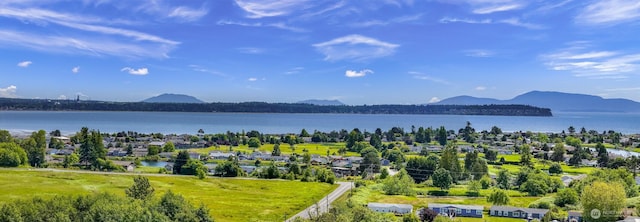 8412 Richard Way, Blaine, WA 98230 - drone / aerial view of a water and mountain view