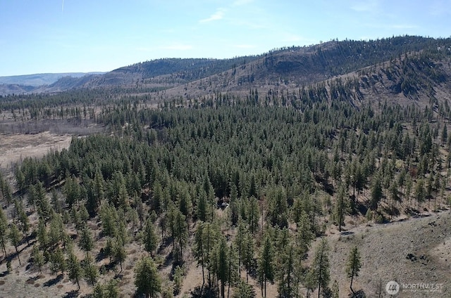 0NHN Washington Creek Rd, Chelan, WA 98816 - photo 1