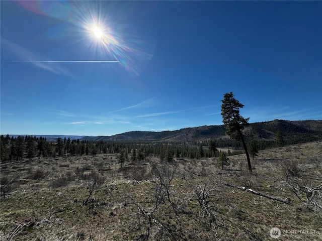 0NHN Washington Creek Rd, Chelan, WA 98816 - photo 2