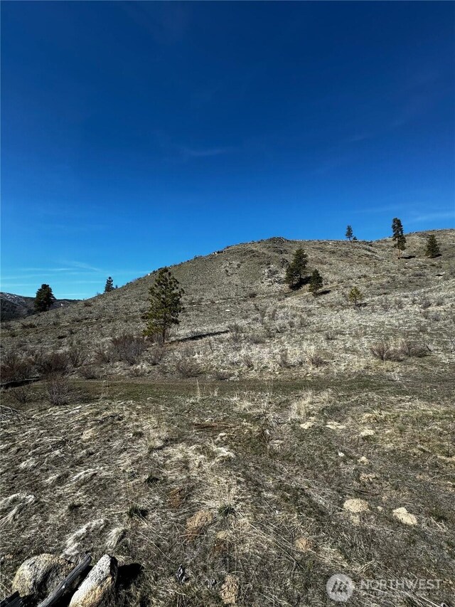0NHN Washington Creek Rd, Chelan, WA 98816 - photo 3