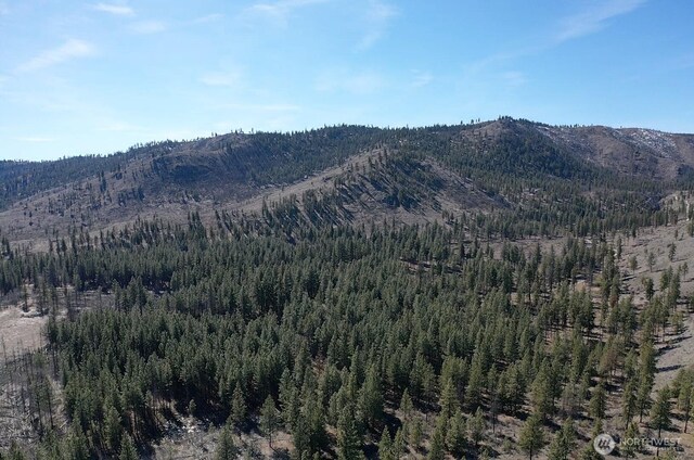 0NHN Washington Creek Rd, Chelan, WA 98816 - photo 4