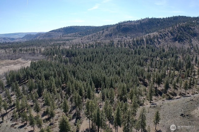 0NHN Washington Creek Rd, Chelan, WA 98816 - photo 6