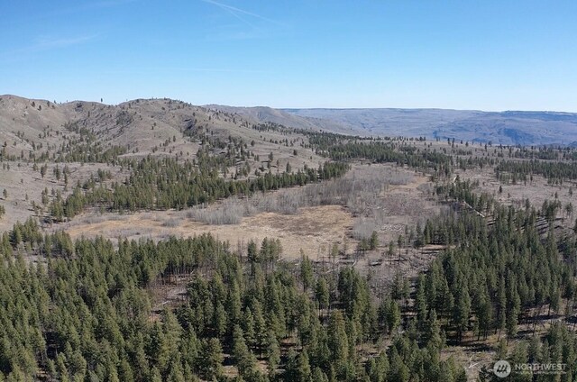 0NHN Washington Creek Rd, Chelan, WA 98816 - photo 8