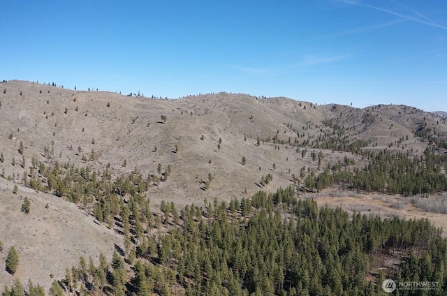 0NHN Washington Creek Rd, Chelan, WA 98816 - photo 10