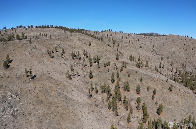 0NHN Washington Creek Rd, Chelan, WA 98816 - photo 11