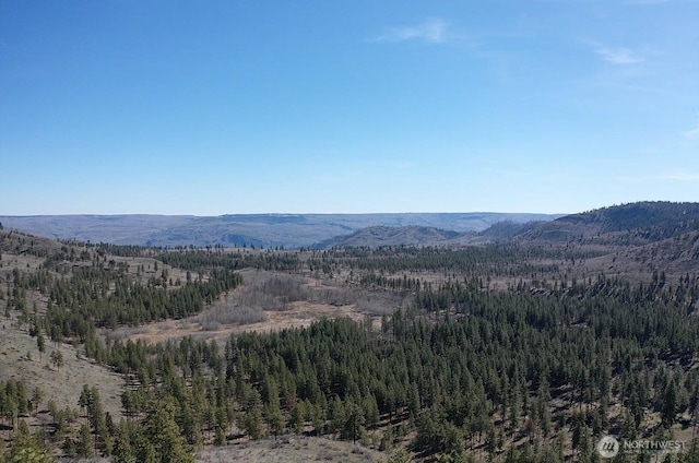 0NHN Washington Creek Rd, Chelan, WA 98816 - photo 14