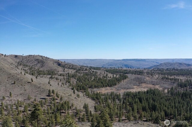 0NHN Washington Creek Rd, Chelan, WA 98816 - photo 15