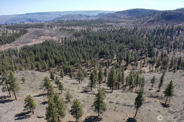 0NHN Washington Creek Rd, Chelan, WA 98816 - photo 17