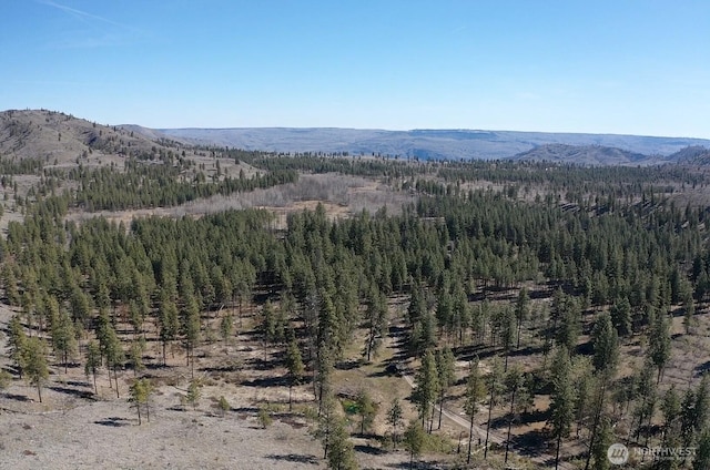 0NHN Washington Creek Rd, Chelan, WA 98816 - photo 18