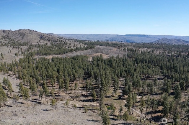 0NHN Washington Creek Rd, Chelan, WA 98816 - photo 19
