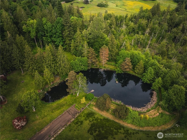 5363 Reese Hill Rd, Sumas, WA 98295 - aerial overview of property's location with a large body of water and a forest