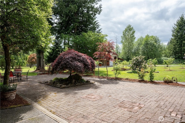 5363 Reese Hill Rd, Sumas, WA 98295 - surrounding community featuring a yard