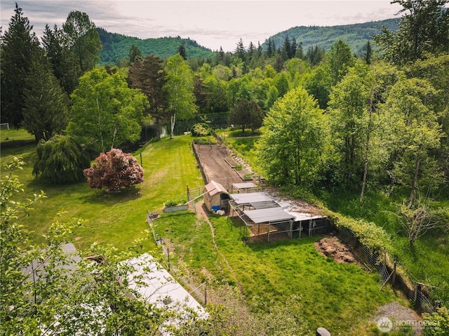 5363 Reese Hill Rd, Sumas, WA 98295 - view of subject property with a heavily wooded area