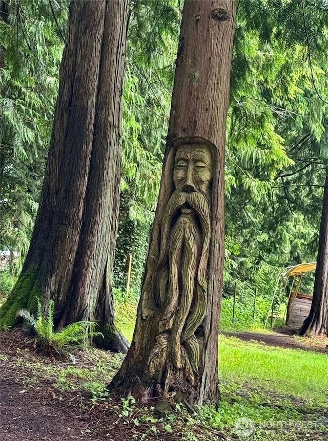 5363 Reese Hill Rd, Sumas, WA 98295 - view of tree filled area
