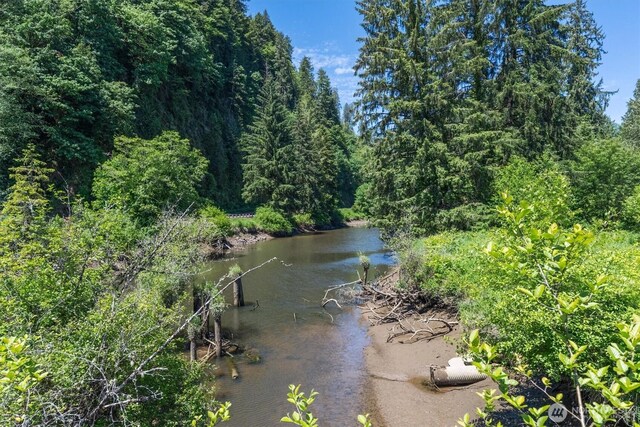 12 Fairgrounds Rd, Skamokawa, WA 98647 - water view with a heavily wooded area