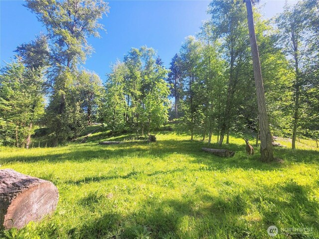 29010 37th Ave E, Spanaway, WA 98387 - photo 30