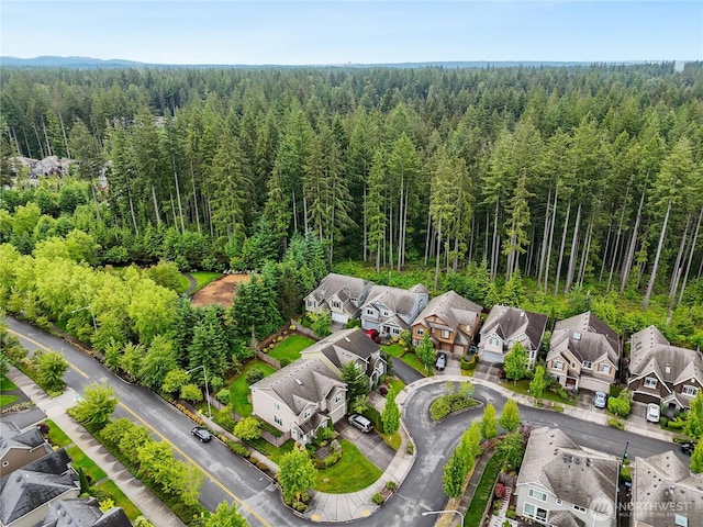 10625 240th Ave NE, Redmond, WA 98053 - photo 36