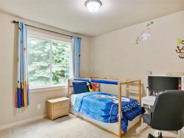 10625 240th Ave NE, Redmond, WA 98053 - photo 29