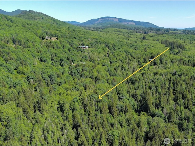 11111 Elkhorn Ln, Quilcene, WA 98376 - photo 8