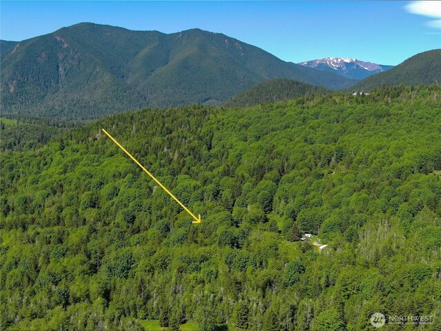 11111 Elkhorn Ln, Quilcene, WA 98376 - photo 9