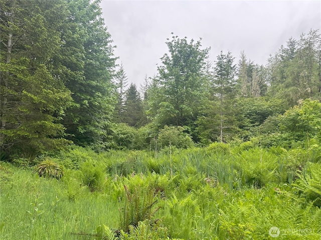 11111 Elkhorn Ln, Quilcene, WA 98376 - photo 7