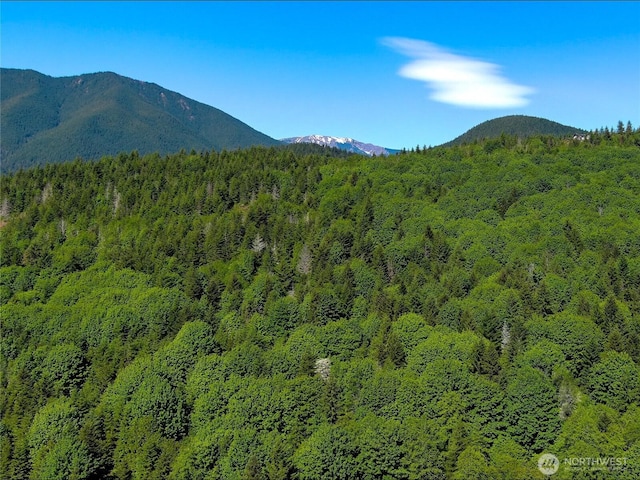 11111 Elkhorn Ln, Quilcene, WA 98376 - photo 10