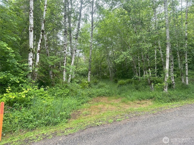 11111 Elkhorn Ln, Quilcene, WA 98376 - photo 3