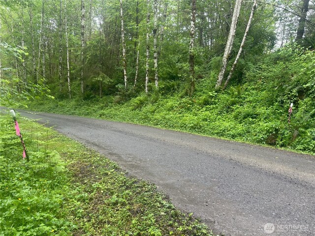 11111 Elkhorn Ln, Quilcene, WA 98376 - photo 14