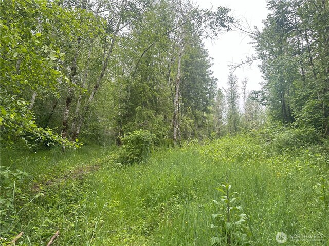 11111 Elkhorn Ln, Quilcene, WA 98376 - photo 4