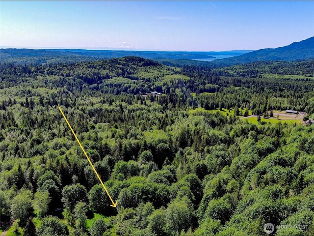 11111 Elkhorn Ln, Quilcene, WA 98376 - photo 11