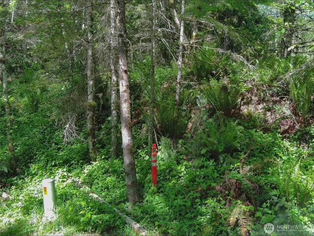 11111 Elkhorn Ln, Quilcene, WA 98376 - photo 18