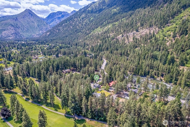 12606 Icicle Ln, Leavenworth, WA 98826 - view of mountain background with a forest