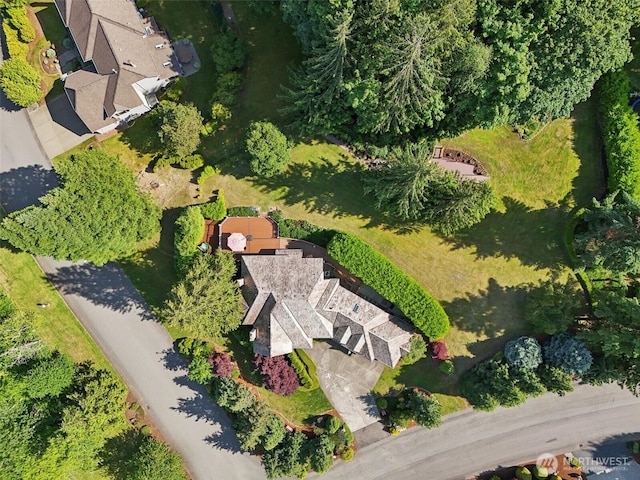 18913 SE 174th Way, Renton, WA 98058 - view of property location