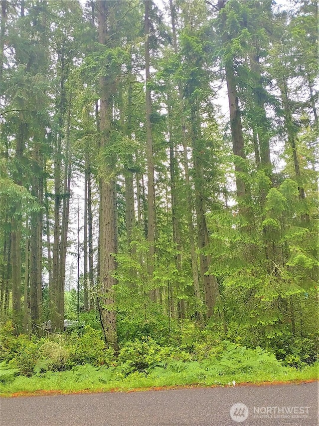 10014 Edgewood Dr, Anderson Island, WA 98303